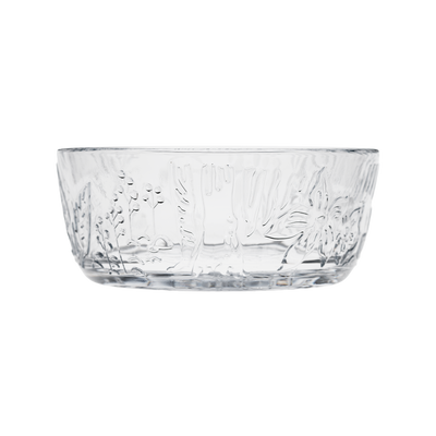 etched clear glass bowl