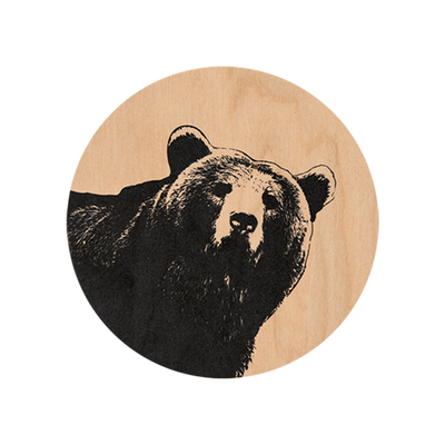 Muurla Bear Coaster