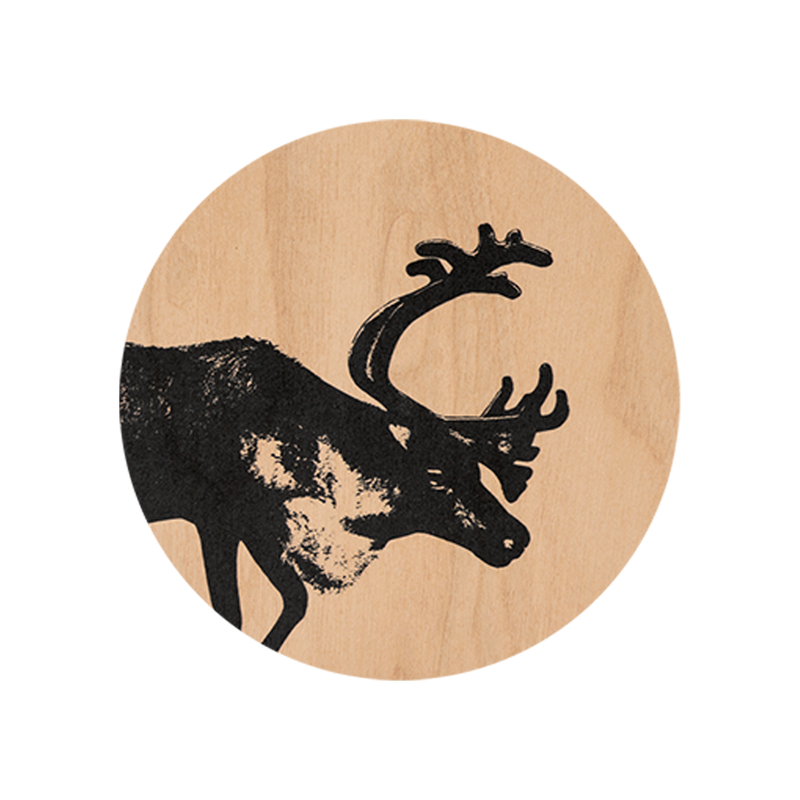 Muurla Reindeer Coaster