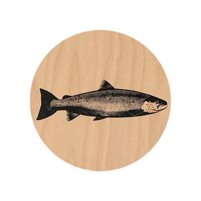 Muurla Salmon Coaster