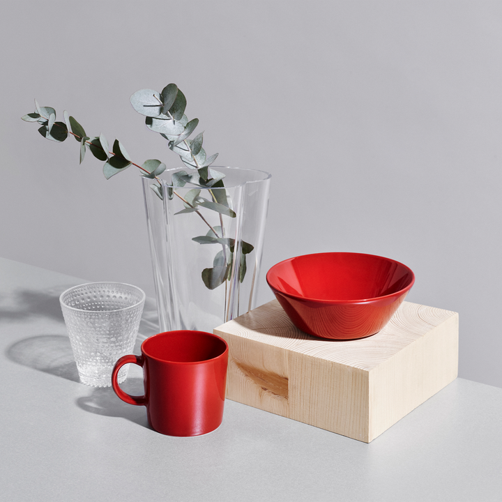 iittala オファー teema マグ